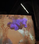 Purple drop crop - CC_677x768