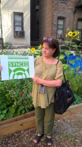 WP_20150829_10_43_35_Pro