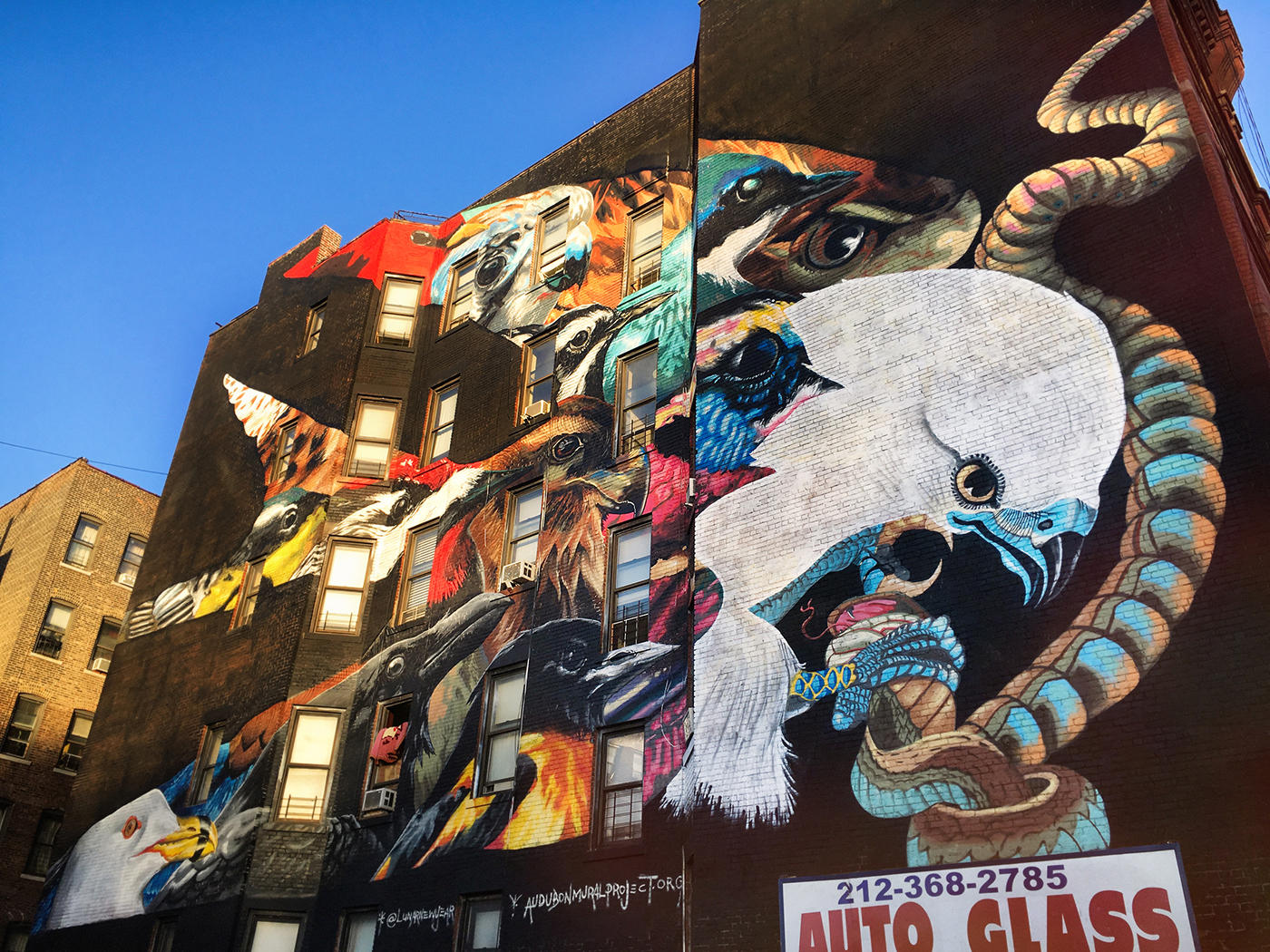 AUDUBON MURAL PROJECT LED BY GALLERY GITLER& IS SPOTLIGHTED