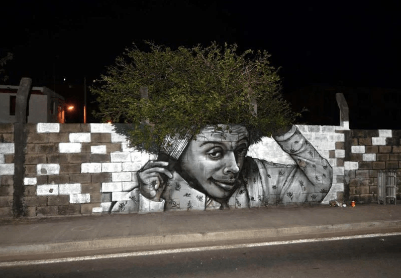 JARDíN DE LAS&nbsp;SEMILLAS