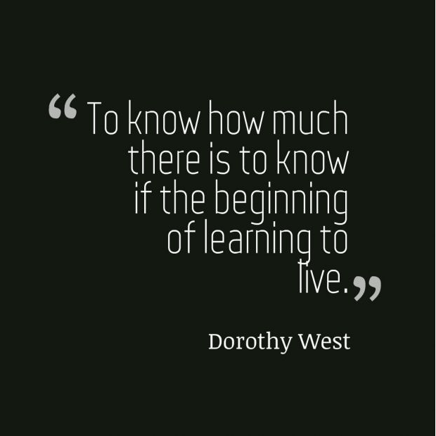 screen-shot-2017-02-20-at-5-42-13-pm