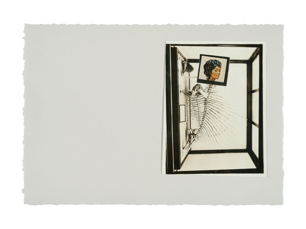 LORNA SIMPSON IN PLACE