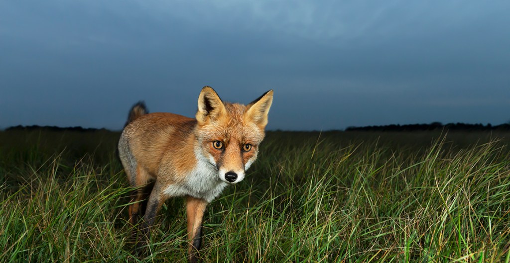 Reading List for Black History Month