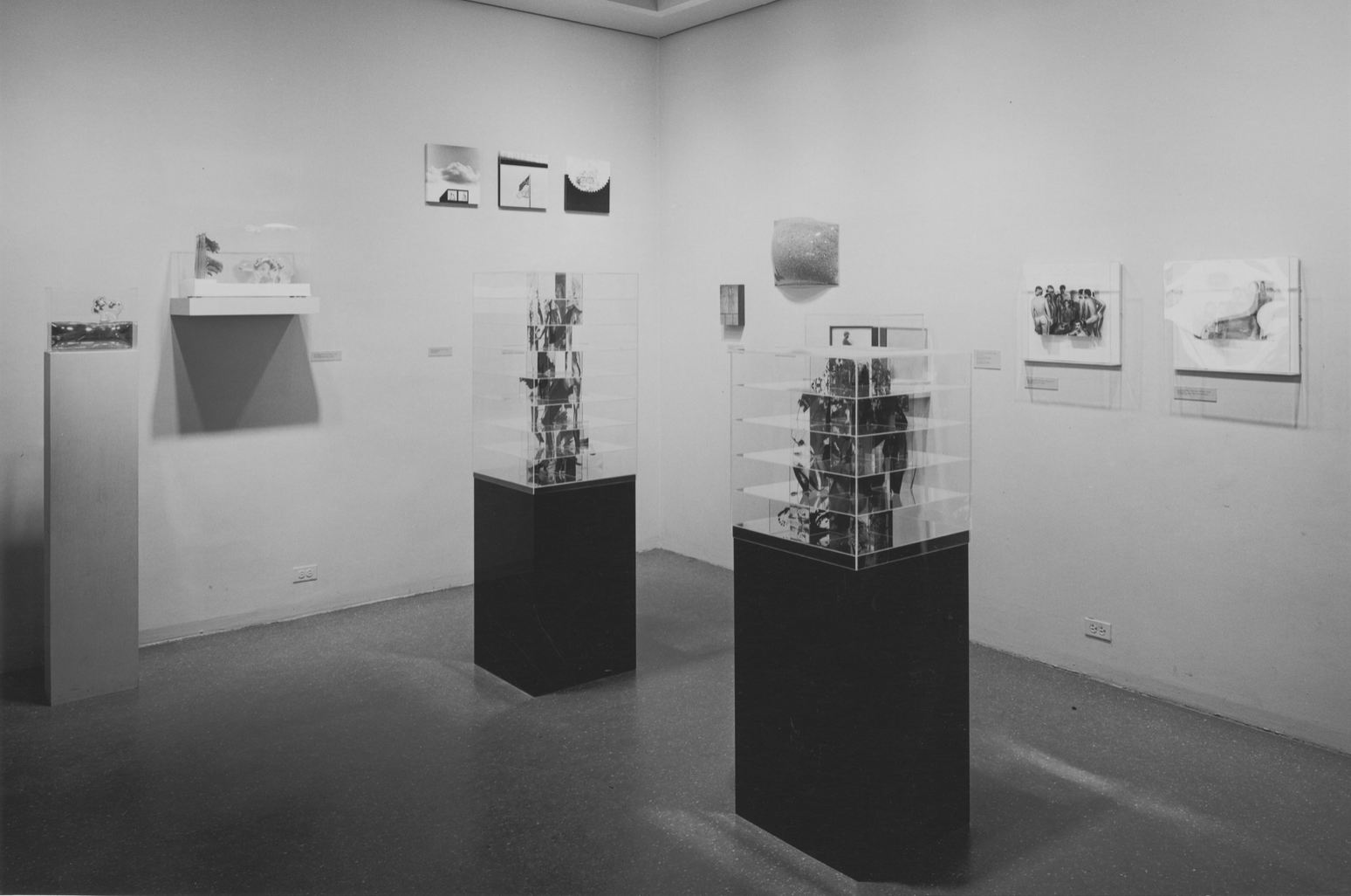 Peter C. Bunnel changed photography forever